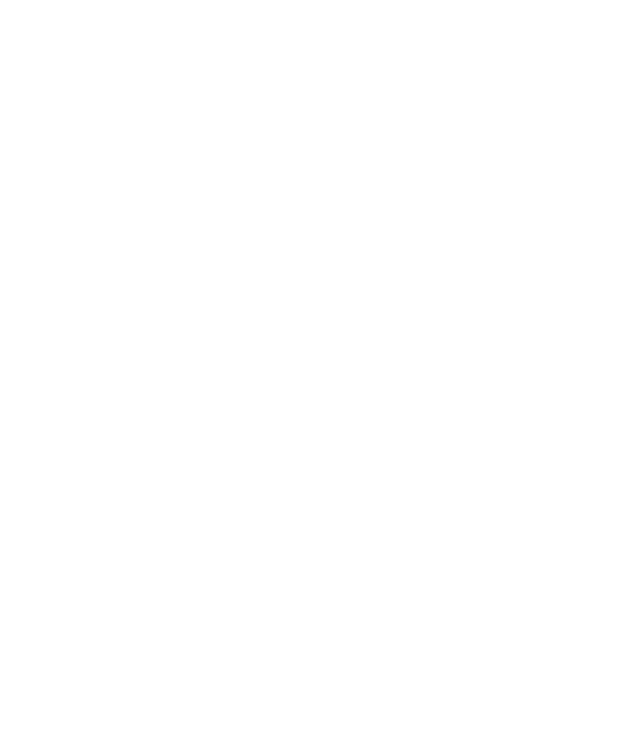Basel Steinen
